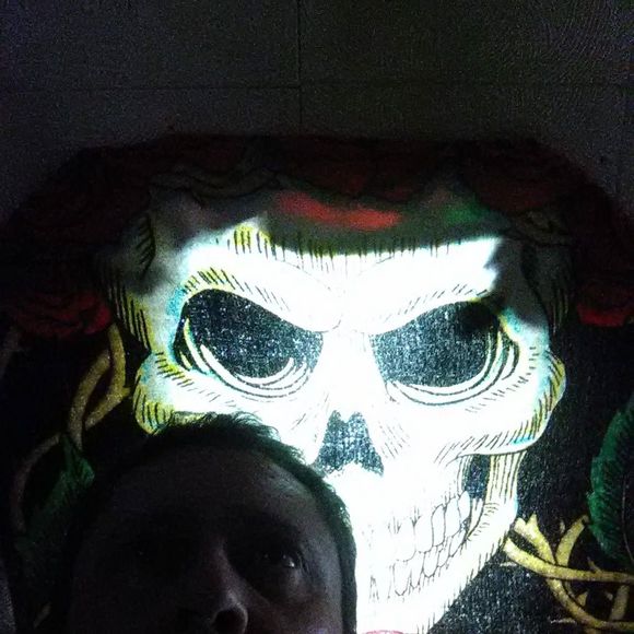 Meet your Posher, Steven - Picture 1 of 1